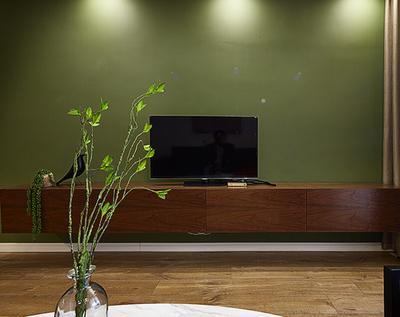 简约风格绿色客厅电视背景墙装修图片