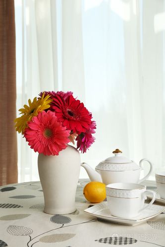 多彩的非洲菊插在花瓶里的茶壶