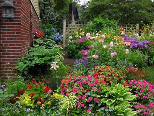 庭院花卉的碱害和酸害防治