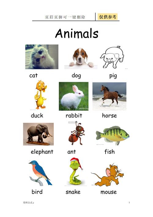 小学英语动物类单词大全配图教学备用