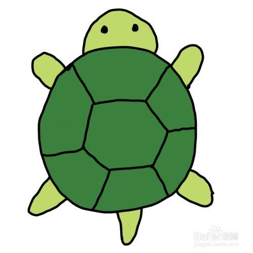怎么画彩色简笔画动物小乌龟