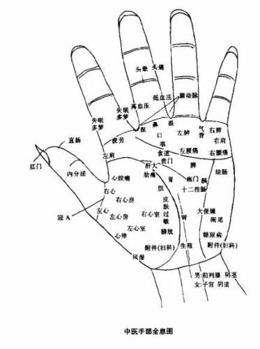 按照中医理论手指和经络是相通的从大拇指到小拇指依次与人体的肺