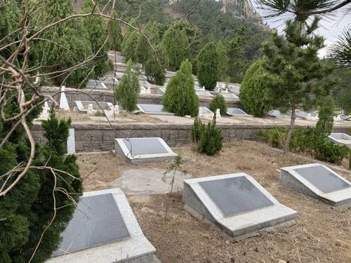 青岛崂山景区如何成了非法坟墓集中地当地回应了