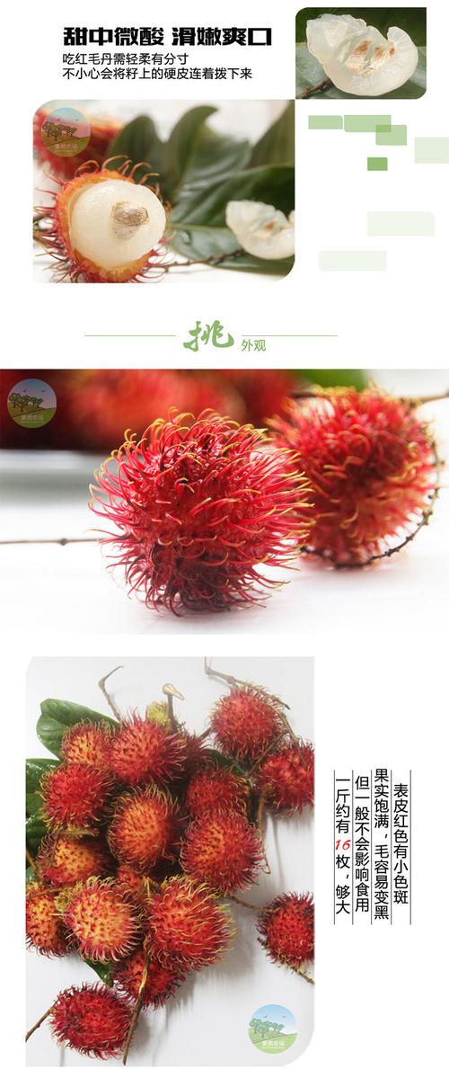 越南进口红毛丹新鲜水果毛荔枝鲜嫩润滑红毛丹