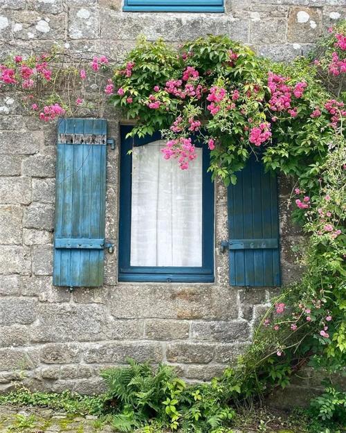 想有一扇开满鲜花的窗