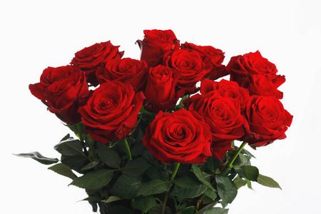 白底红玫瑰花十五朵花照片